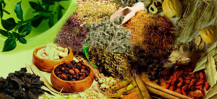 Ayurvedic Medicine Treatment 